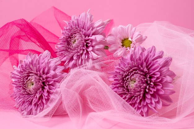 Beautiul chrysanthemum and veil