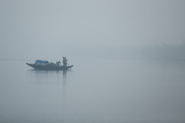 Foto gratuita la bellezza delle mangrovie di sundarbans e della riserva delle tigri in india