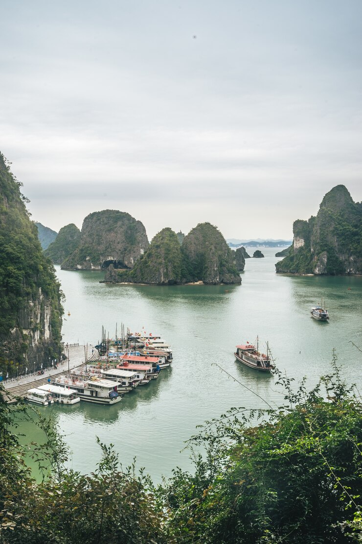 Free Photo the beauty of unesco heritage site ha long bay