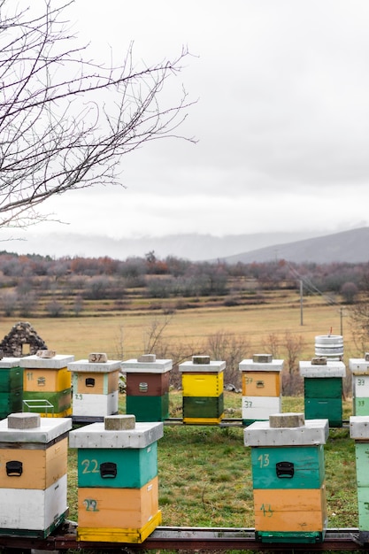 Bee hives outdoors country lifestyle