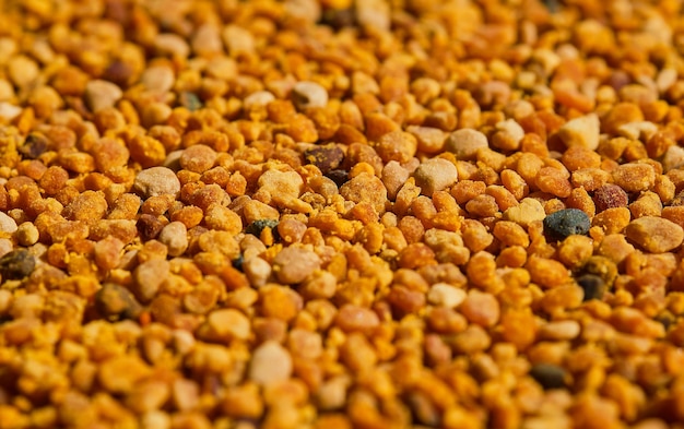 Free photo bee pollen closeup selective focus and blurred background ecological clean food supplements and health improvement useful products idea for background or advertising