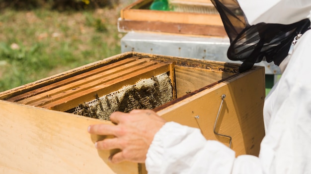 Free photo beekeeper extracting honey