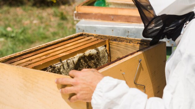 Hive Harmony Hacks Thrive On
