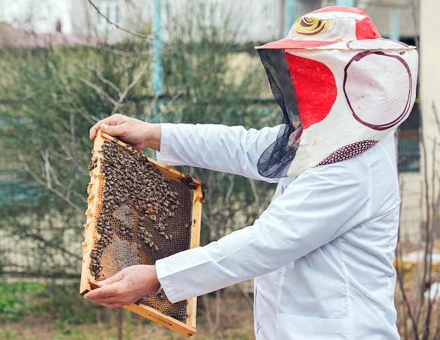 A beekeeper in white worker uniform putting bee hive with honey and a bunch of bees on it.