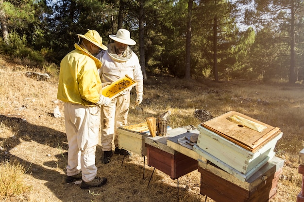 Free photo beekeepers