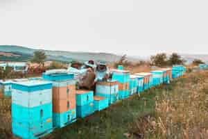 Free photo beekepers gathering harvest from bee hives