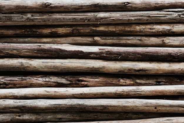 ベージュの木の丸太の織り目加工の背景