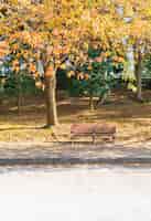 Free photo bench in autumn park