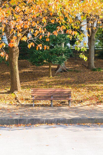 秋の公園のベンチ