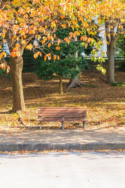 Bench in autumn park