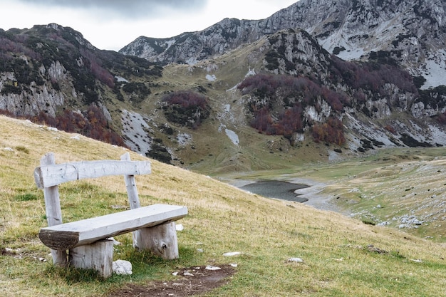 Free photo bench on the background of national park durmitor montenegro