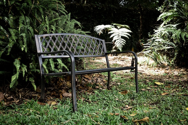 Bench in the forest background