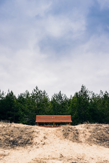 Free photo bench in front of the trees under the clouded sky