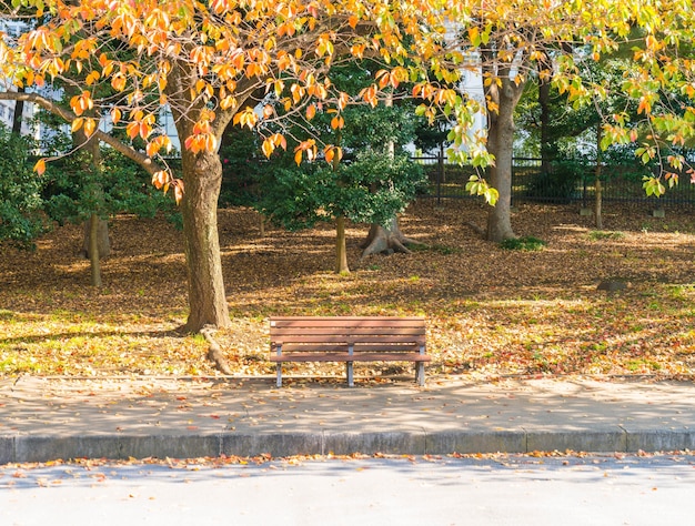 無料写真 秋の公園のベンチ