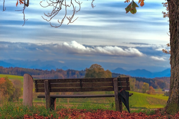 Bench and nature