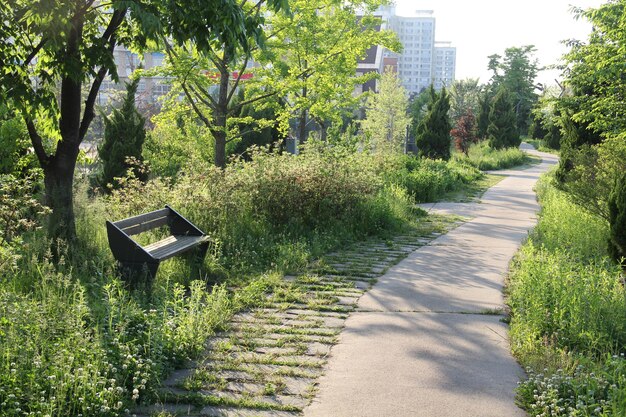 Скамейка в парке в Южной Корее