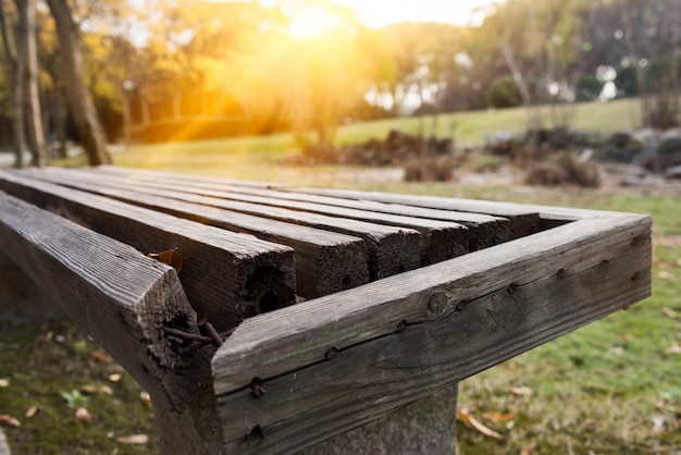 Bench in a park on sunny day