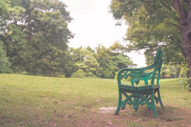 Bench under the tree beautiful colorful autumn park in sunny day