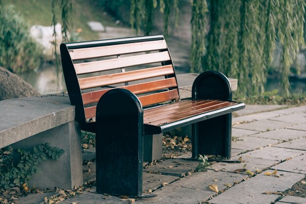 Bench under trees in a park