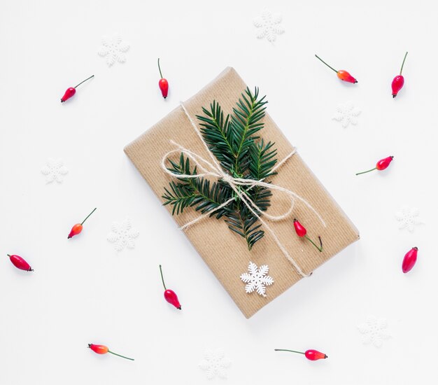 Berries lying around Christmas present