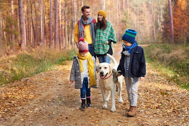 The best friend of human is a dog