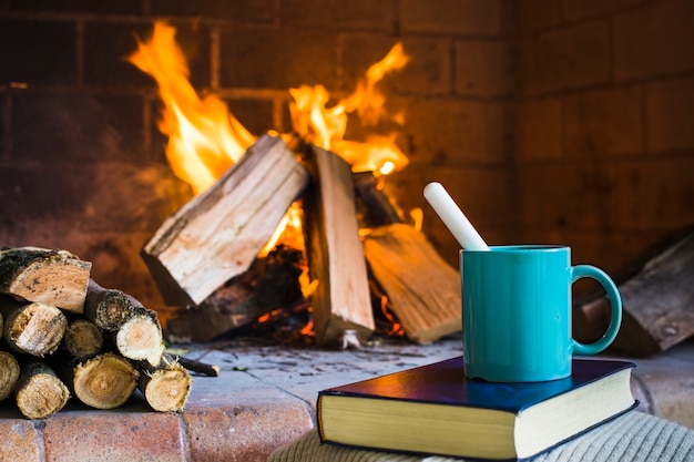 Beverage and book near fireplace
