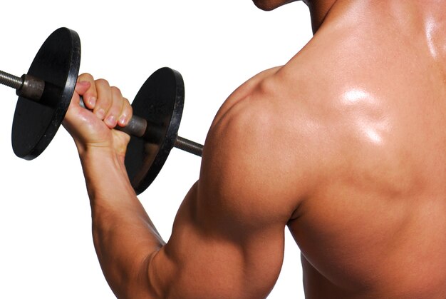 Biceps. Sport exercising for successful people.