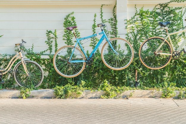 bicycle decoration on wall