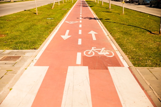 Bicycle lane with sign between the green grass