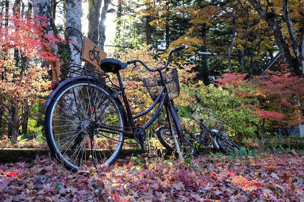 Bicycle in the middle of an autumn park full of colorful leaves