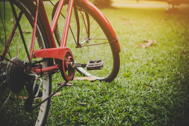 公園内の自転車。