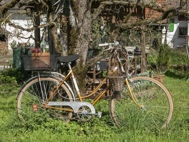 나무 옆 녹색 정원에 주차 된 자전거