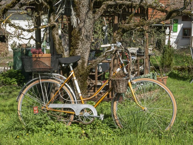 木の隣の緑豊かな庭園に駐車した自転車