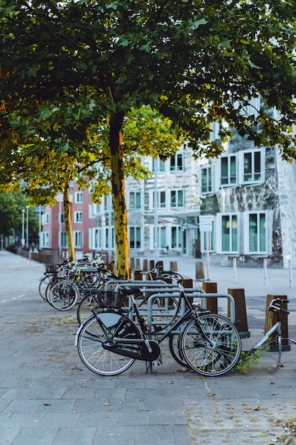 парковка для велосипедов