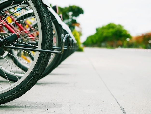 自転車レンタルは、道路の近くに一列に並ぶ