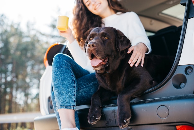 車の中で大きな黒い犬