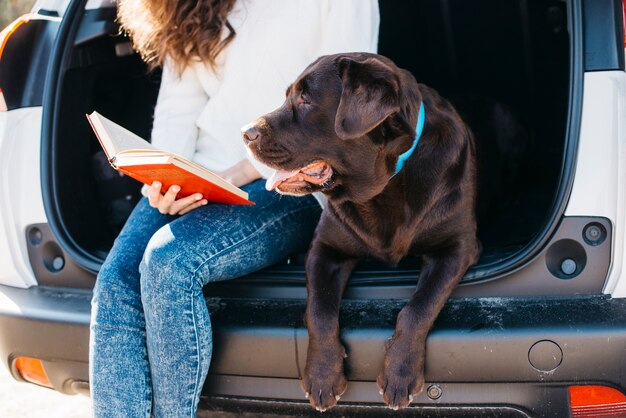 車の中で大きな黒い犬