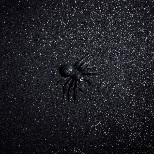 Free photo big black halloween spider over dark glitter background