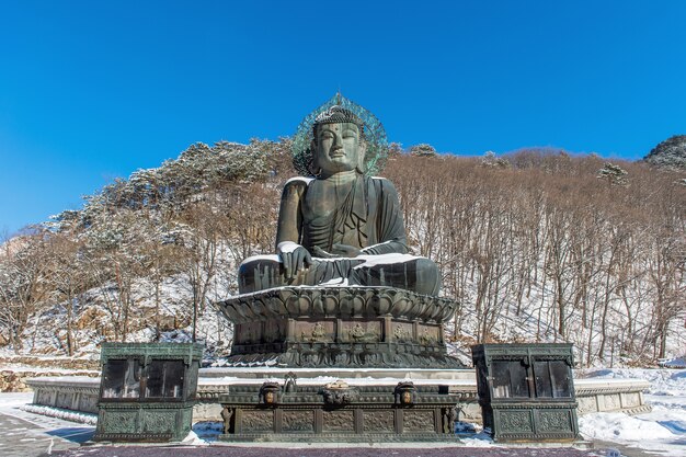 韓国、冬の雪岳山国立公園にあるシンフンサ寺院の大仏記念碑