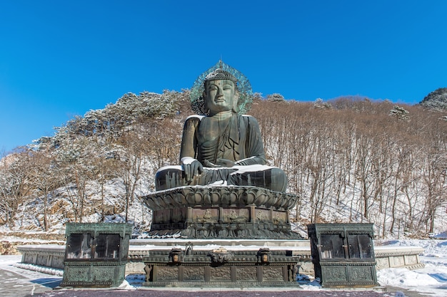 韓国、冬の雪岳山国立公園にあるシンフンサ寺院の大仏記念碑