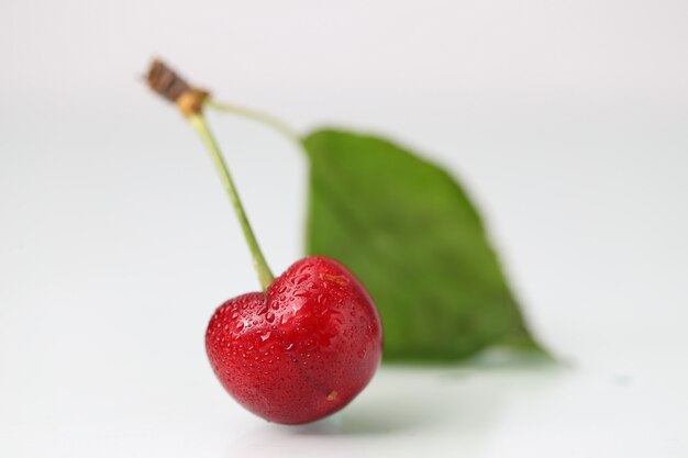 Big cherry on white background