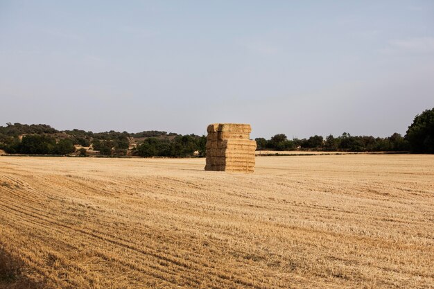 Большой стог сена посреди поля в сельской местности