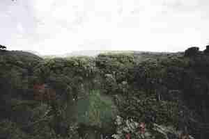 Free photo big hill with trees and forest on top with cloud sky