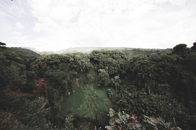 Big hill with trees and forest on top with cloud sky