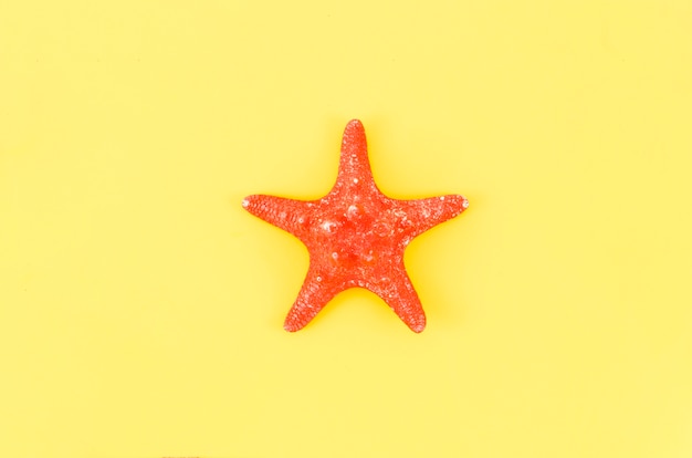Большая красная морская звезда на желтом столе