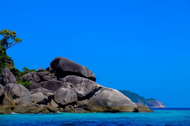 大きな岩と澄んだ空と海の近くの木