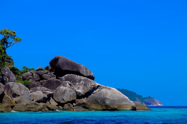 大きな岩と澄んだ空と海の近くの木