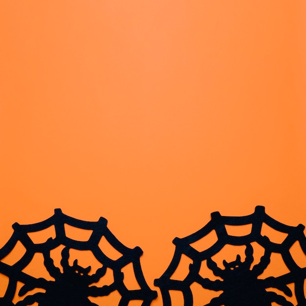 Бесплатное фото Большие пауки с паутиной над оранжевым
