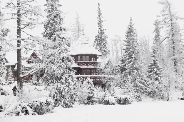 雪の多い森の大きな木の家