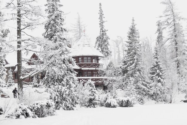 Big wooden house in snowy woods